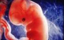 Canada: lancement du premier service national de dons d'embryons