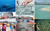 L’économie bleue, source de développement pour le Pays