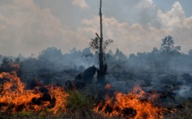 Indonésie: récompense d'un million de dollars pour la protection de l'environnement