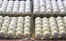 JO-2018 - "Lost in translation", la Norvège commande 15.000 oeufs au lieu de 1.500