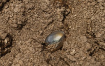 Le changement climatique, la goutte de trop pour les réserves d'eau