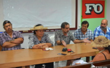Rassemblement des grévistes demain matin à Tarahoi