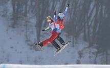 JO-2018 - Fourcade se tire une balle dans le pied, Vaultier et Svindal au firmament