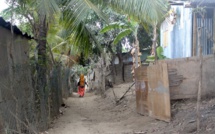 Mayotte : un taux de chômage parmi les plus importants de France