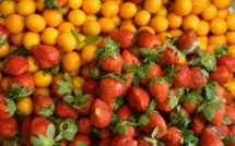 Cinq fruits et légumes par jour... Et des traces de pesticides