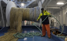 Pêche: 55% de la surface océanique exploitée par les grands chalutiers