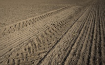 La Chine, acheteuse vorace de terres agricoles à l'étranger