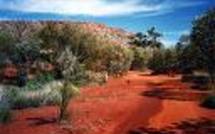 Rare séisme dans le désert australien