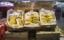 Les producteurs antillais lancent une "banane équitable"