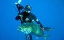 Rurutu : résultats provisoires des Océania de pêche sous marine.