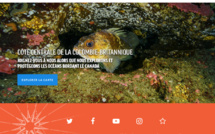 Canada: les secrets de fonds marins vierges dévoilés aux internautes