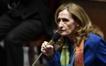 La création d'un "tribunal criminel", annonce surprise de la réforme de la justice