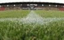 L1- La pelouse de Nancy vendue par petits bouts aux supporters