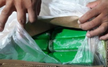Record de saisies de cocaïne pour la douane en 2017