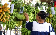 Prêts à déguster ‘uru et banane ? 
