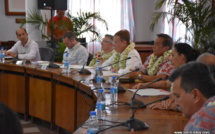 Papeete fonde son Conseil de prévention de la délinquance