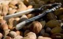 Amandes et noix ou noisettes liées à une amélioration du cholestérol