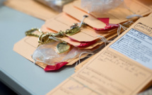 Ils exploitaient des mineurs qui auraient commis 1.500 cambriolages: 7 personnes écrouées à Nîmes