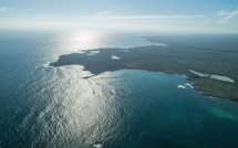 Galapagos: 22 tonnes de déchets ramassés sur les côtes pour protéger les îles