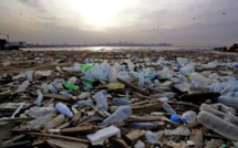 La décharge flottante du Pacifique 3 fois la taille de la France