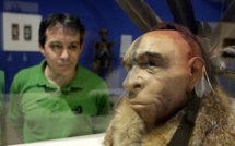 L'homme de Néandertal, notre cousin pas si lointain, à Paris