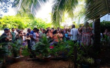 Le troc de graines, une bonne idée à cultiver