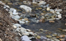 Un adolescent perdu pendant 12 heures dans les égouts de Los Angeles