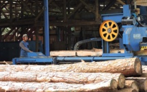 La filière bois prête à être développée