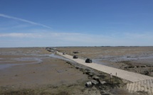 Les épisodes de canicule se multiplient dans les océans