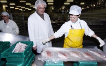 Outre-mer: la conjoncture économique 2017 a évolué favorablement malgré ouragans et mouvements sociaux