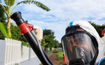 L'épidémie de dengue s'intensifie à La Réunion