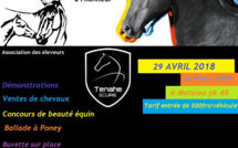 Un concours de beauté et une vente aux enchères de chevaux à Mataiea
