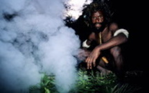 Des Papous vivants dans les arbres recensés pour la 1ère fois