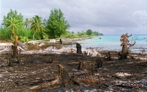 Essais nucléaires : Morin espère les premières indemnisations avant fin 2010