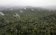 Guyane : deux morts, un blessé grave dans un accident d'hélicoptère