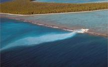 Le Collectif No To’u Fenua &amp; Moruroa e Tatou créent les journées de l'environnement Polynesiennes