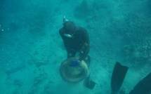 TEFANA WATER DAYS, nettoyage du lagon et course sous-marine