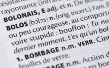 Un "schmutz" sous la "gouttine": les nouveaux mots des dictionnaires