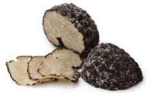 Du rififi dans la truffe: la répression des fraudes sévit | fraude