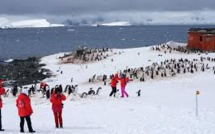 La régulation du tourisme, une urgence dans l'Antarctique