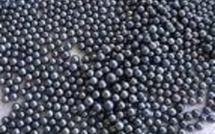 Perliculture : deux ventes aux enchères en octobre à Bora Bora