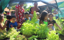 Les écoles de Punaauia prennent "la route des potagers" bio