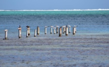 La biodiversité, c'est quoi?