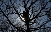 Un cambrioleur, ex-militaire britannique, se camoufle dans un bois pendant 5 mois