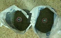 Douanes: saisie de Pakalolo