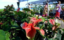 Les floralies fêtent les produits locaux à Mama'o