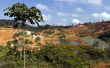 Permis minier: l'Etat condamné à verser 500.000 euros à la collectivité territoriale de Guyane