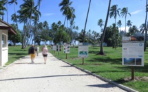 Les coraux en photos sur la plage de Tiahura de Moorea