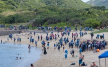 Hong Kong: plus de 2.000 bénévoles nettoient une plage prisée des tortues