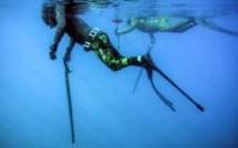 Au Liban, des pêcheurs militent pour préserver la faune marine...avec leur harpon